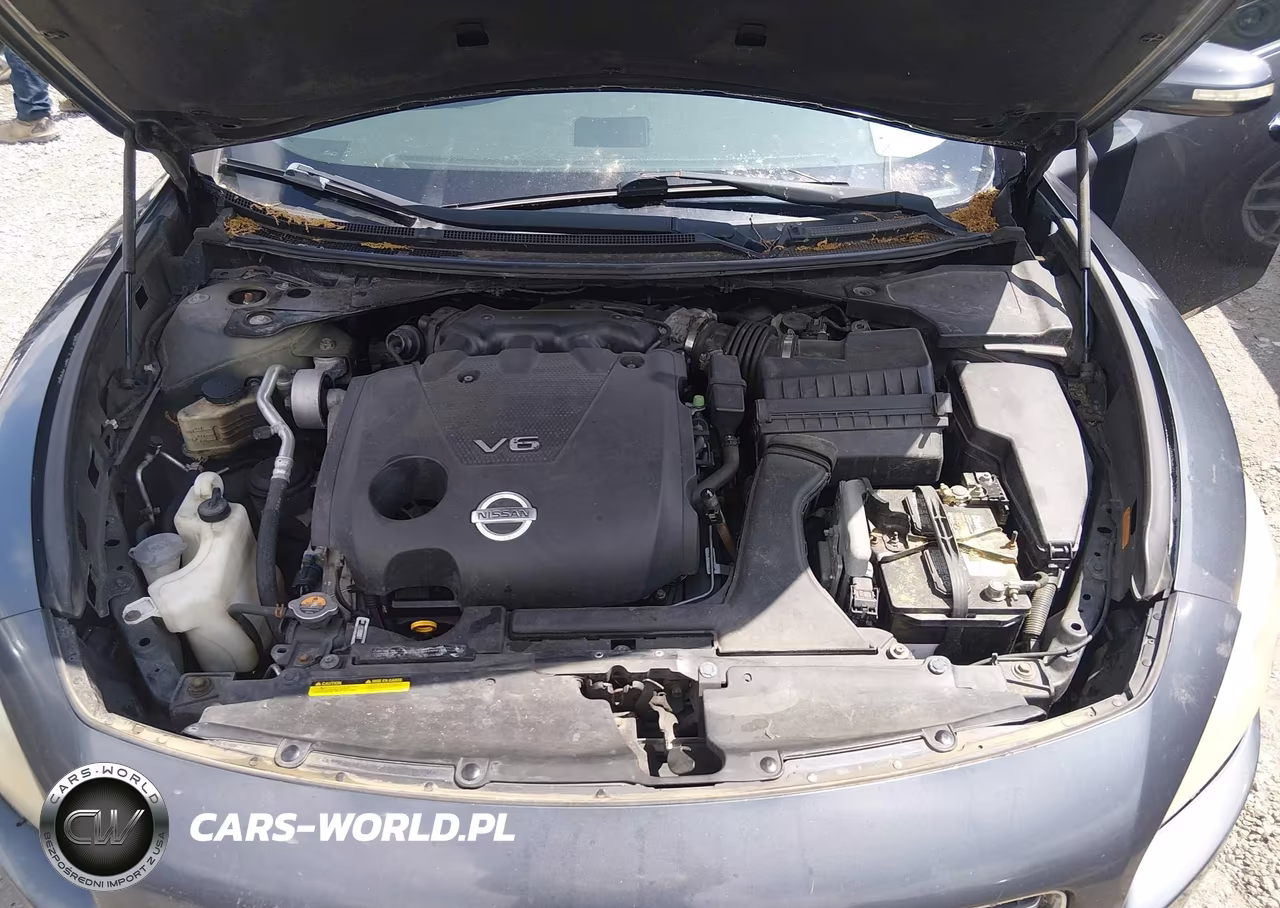 2010 Nissan Maxima 3.5 Sv VIN:1N4AA5AP1AC842779 - 10