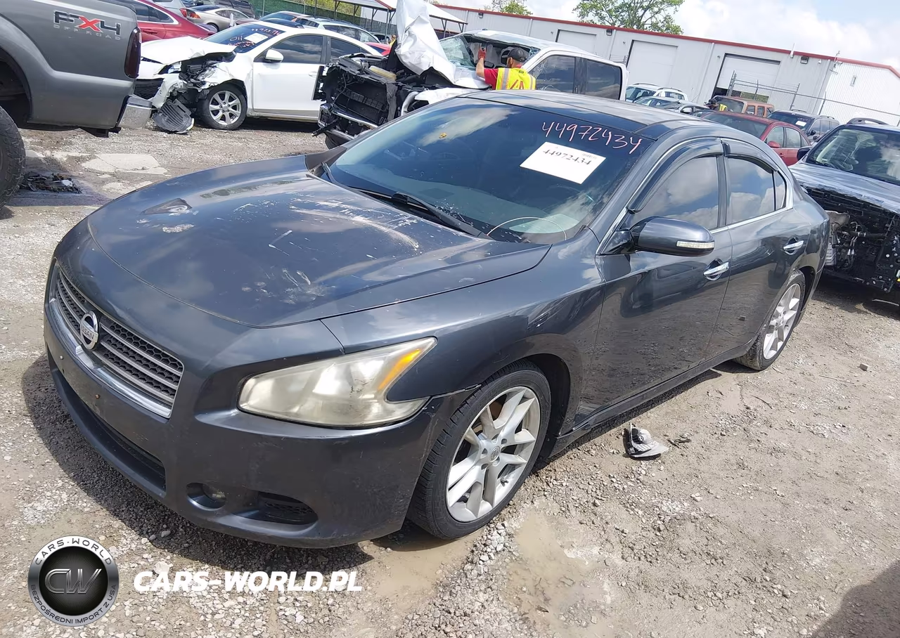 2010 Nissan Maxima 3.5 Sv VIN:1N4AA5AP1AC842779 - 2
