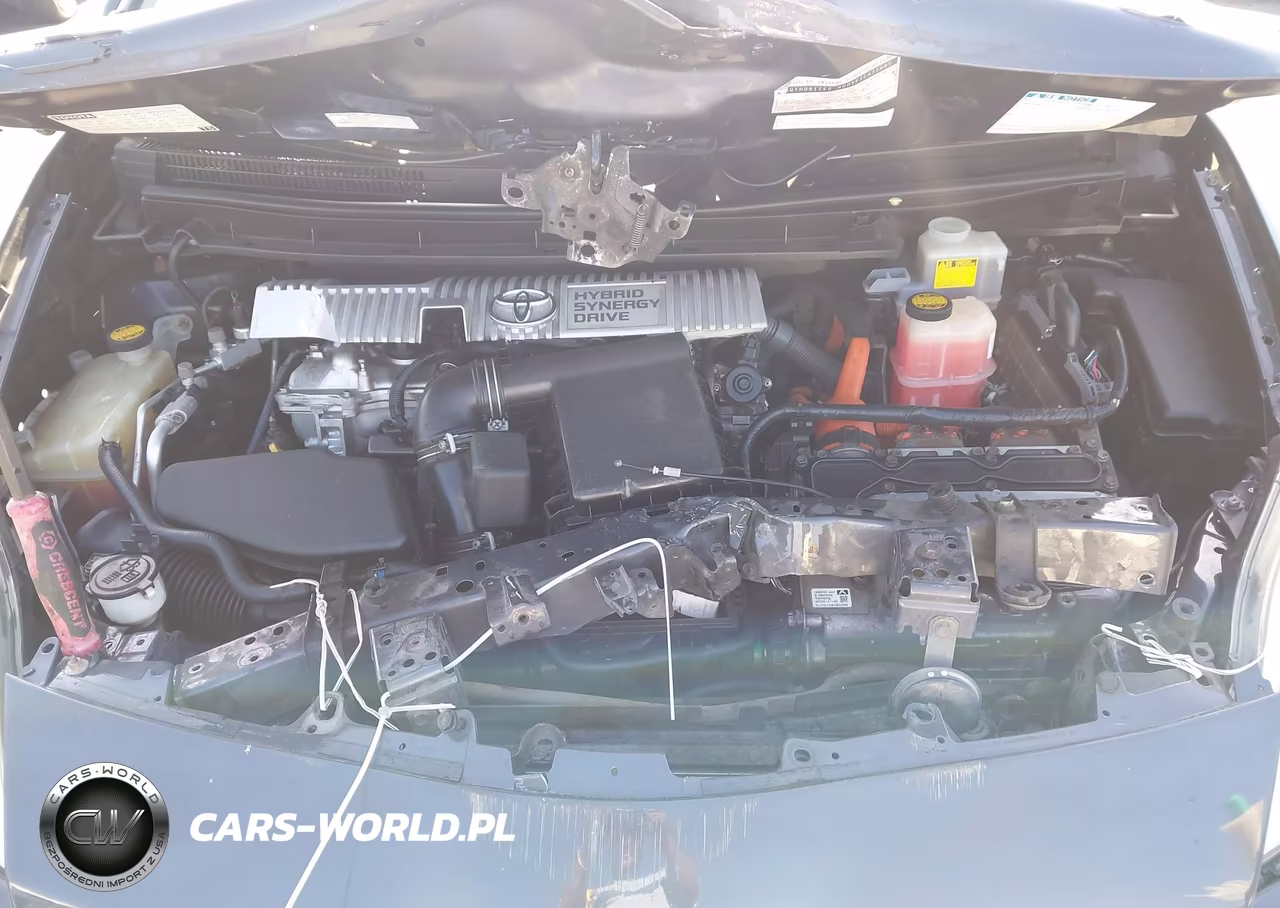 2010 Toyota Prius VIN:JTDKN3DU4A0203984 - 10