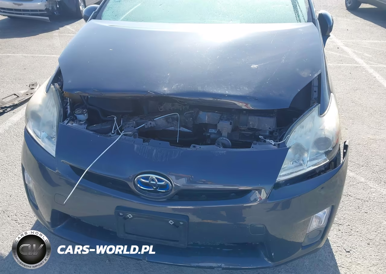 2010 Toyota Prius VIN:JTDKN3DU4A0203984 - 6