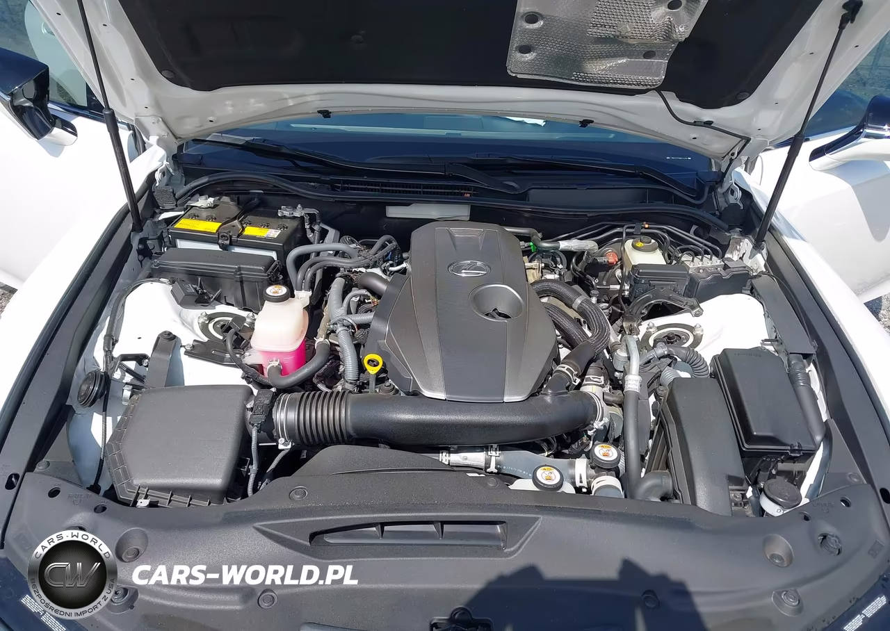 2021 Lexus Is 300 VIN:JTHAA1D2XM5116431 - 10
