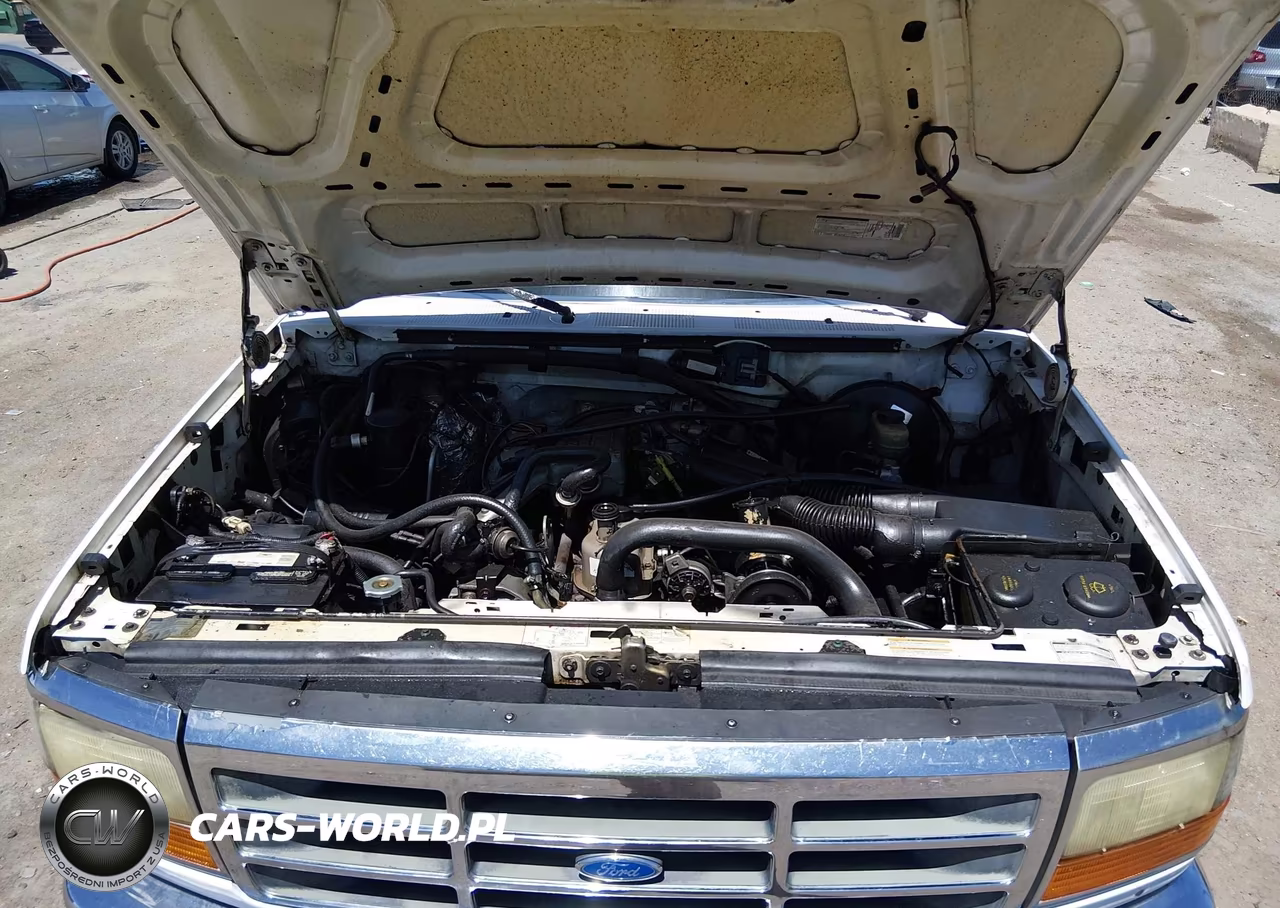 1995 Ford F150 VIN:1FTDF15YXSNA24557 - 10