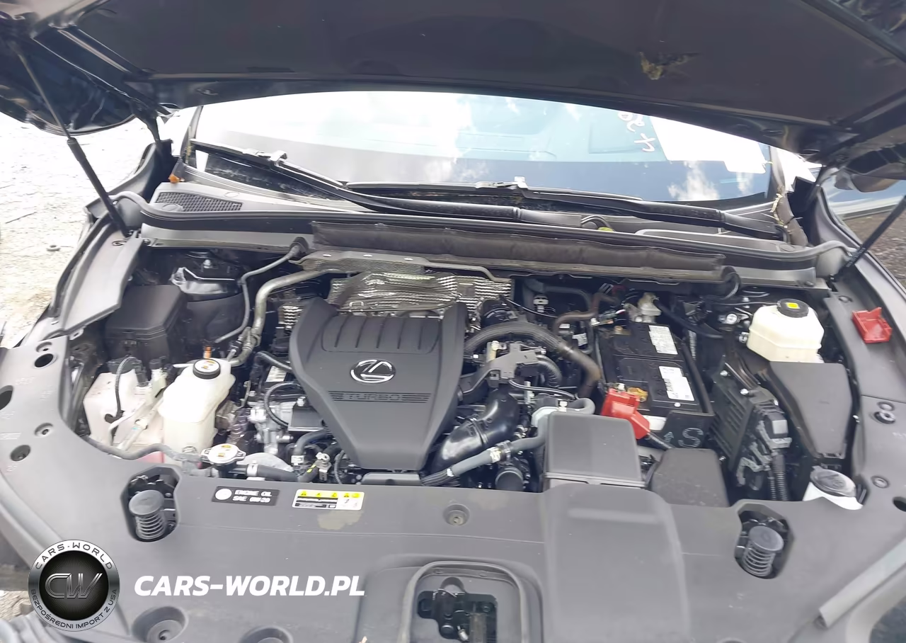 2024 Lexus Rx 350 Premium Plus VIN:2T2BAMCA0RC076284 - 10