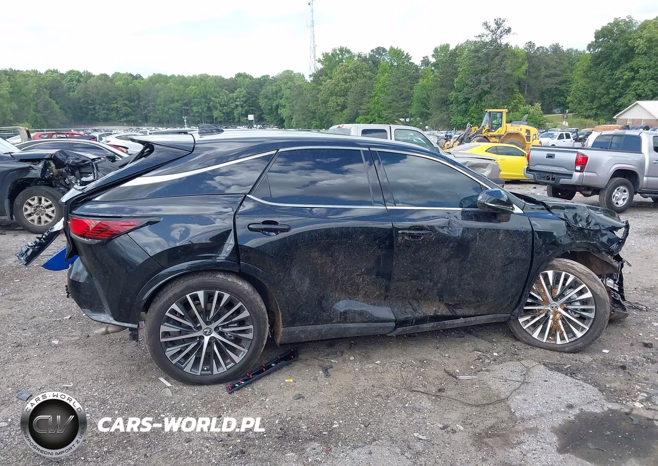 2024 Lexus Rx 350 Premium Plus VIN:2T2BAMCA0RC076284 - 13