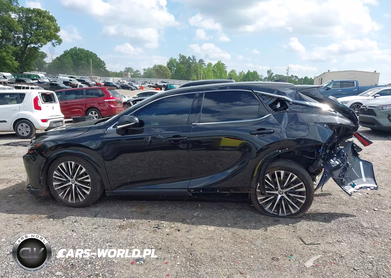 2024 Lexus Rx 350 Premium Plus VIN:2T2BAMCA0RC076284 - 14