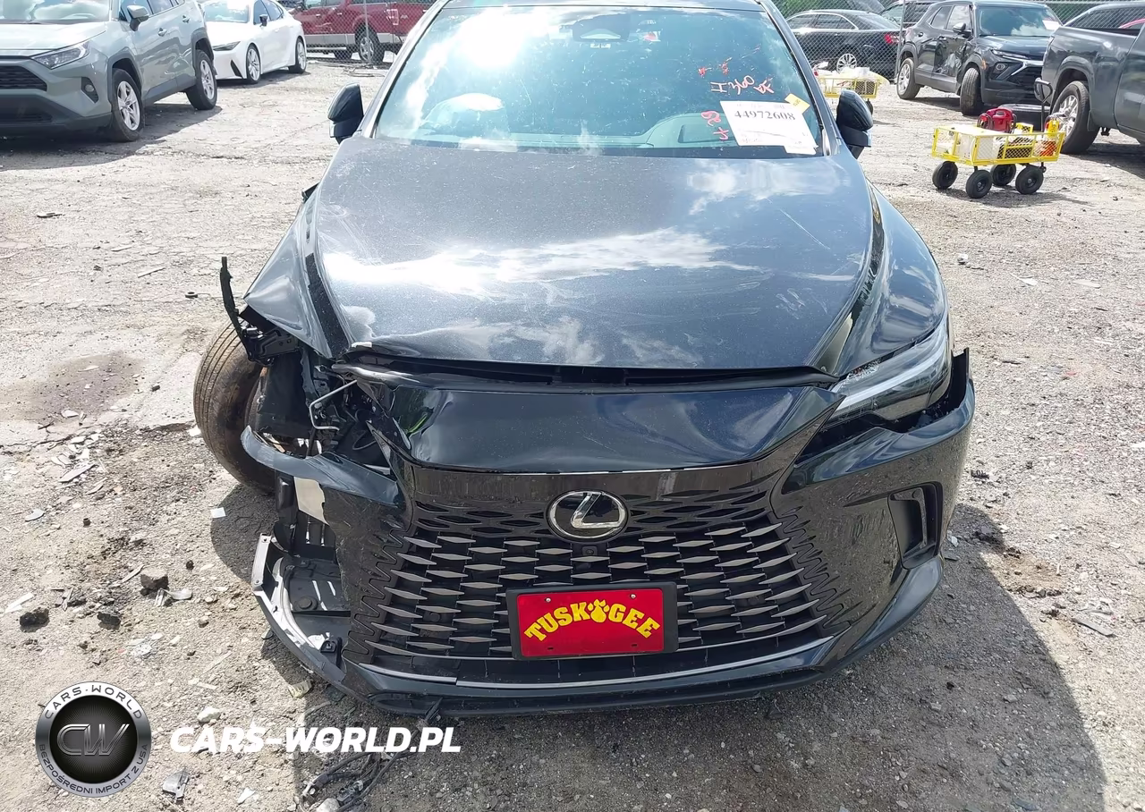 2024 Lexus Rx 350 Premium Plus VIN:2T2BAMCA0RC076284 - 18