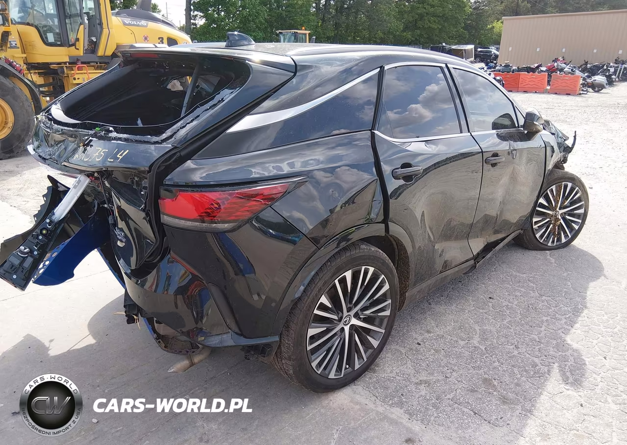 2024 Lexus Rx 350 Premium Plus VIN:2T2BAMCA0RC076284 - 4