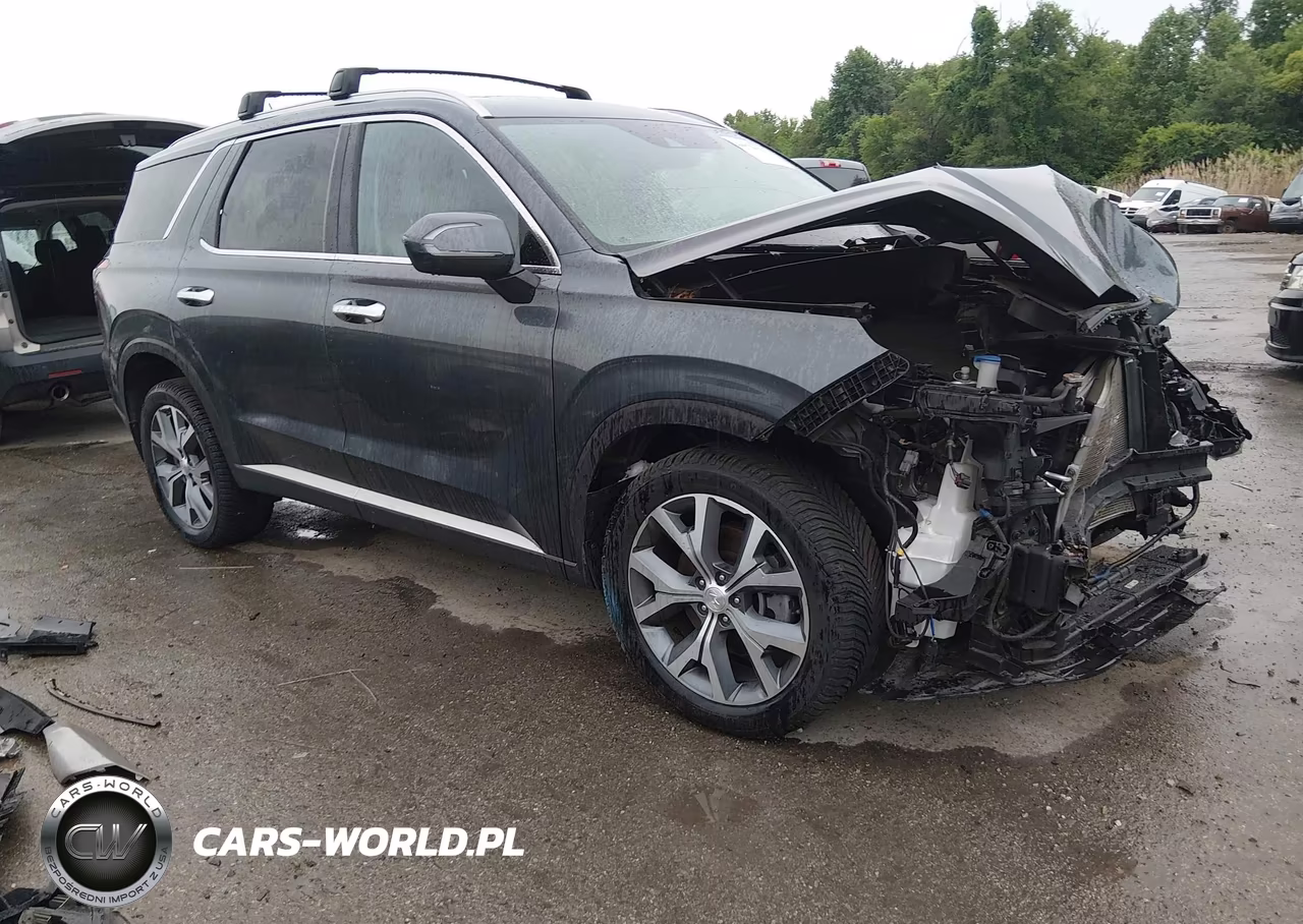 2020 Hyundai Palisade Sel