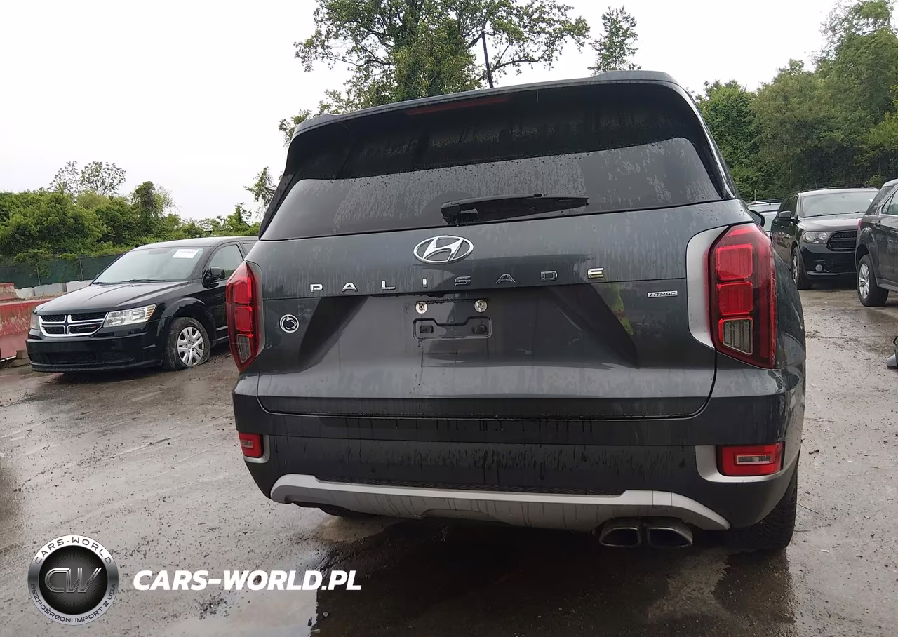 2020 Hyundai Palisade Sel VIN:KM8R3DHE9LU100385 - 17