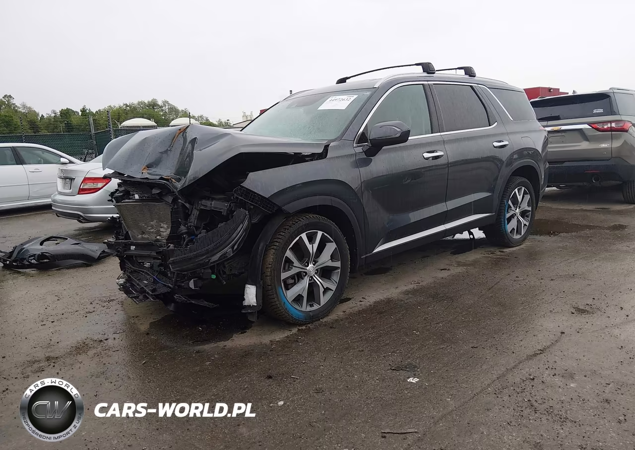 2020 Hyundai Palisade Sel VIN:KM8R3DHE9LU100385 - 2