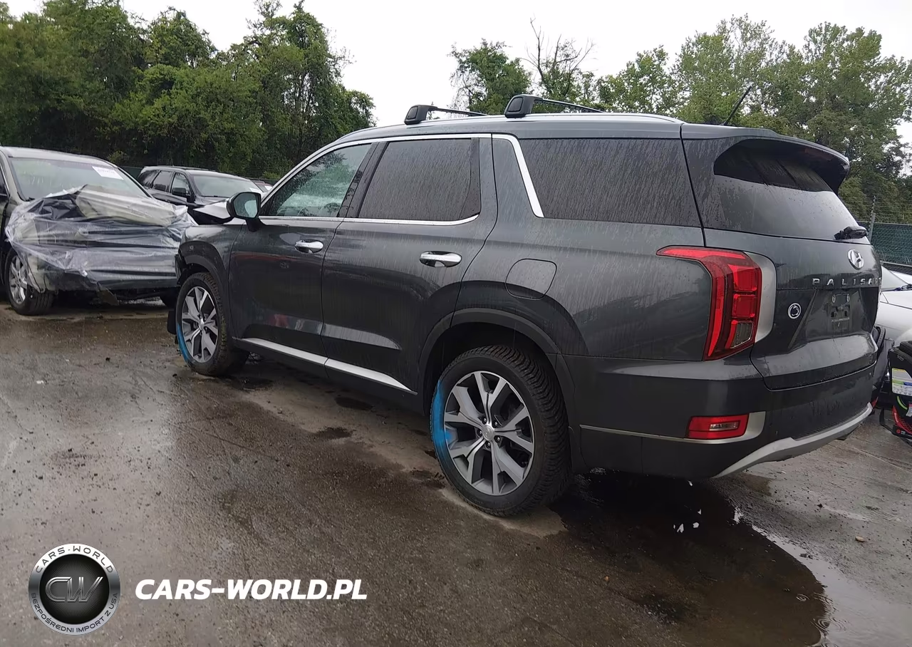 2020 Hyundai Palisade Sel VIN:KM8R3DHE9LU100385 - 3