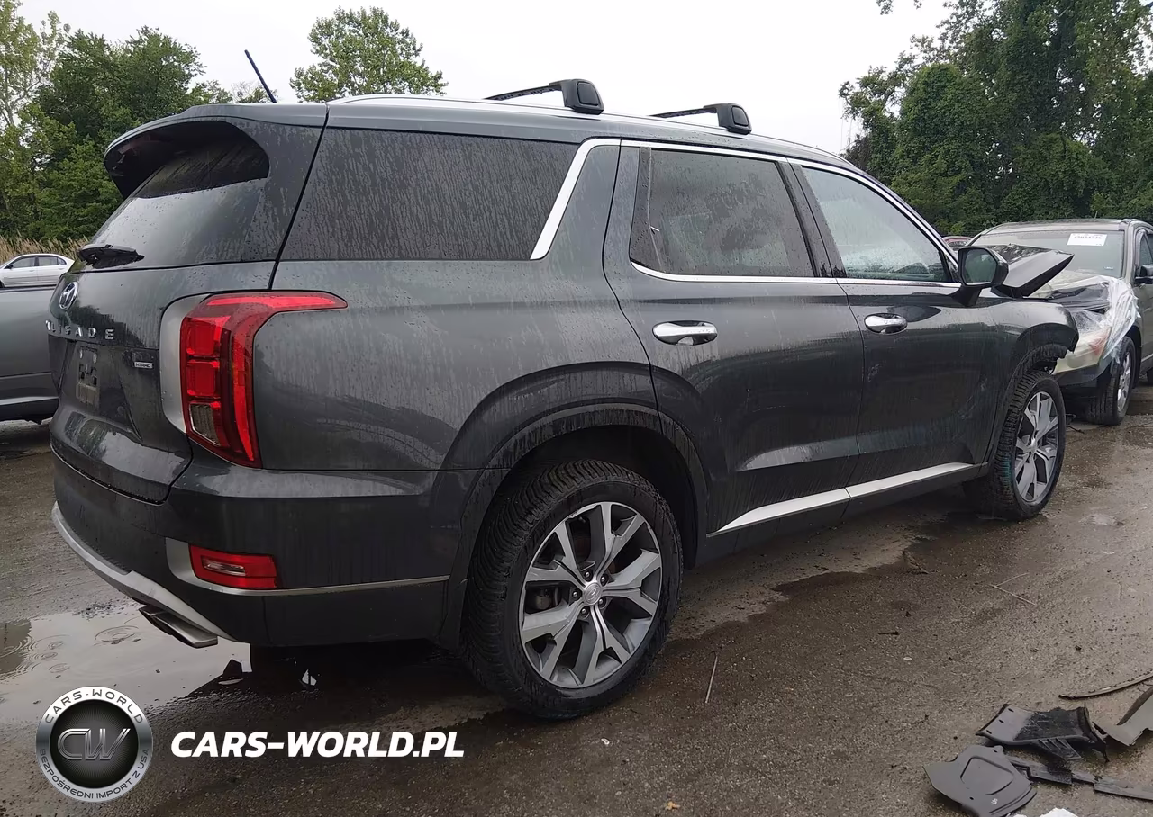 2020 Hyundai Palisade Sel VIN:KM8R3DHE9LU100385 - 4
