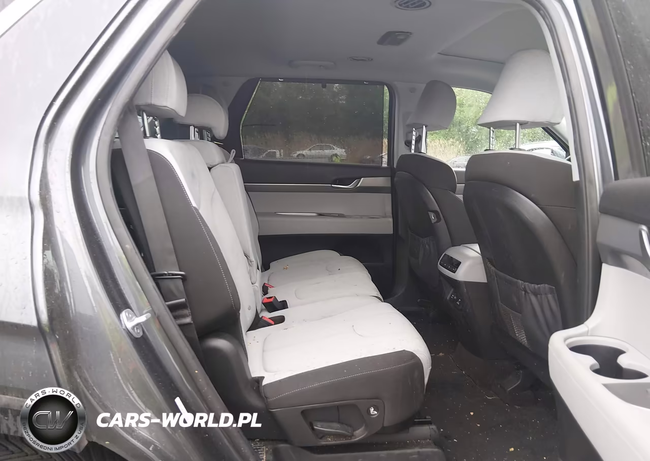 2020 Hyundai Palisade Sel VIN:KM8R3DHE9LU100385 - 8
