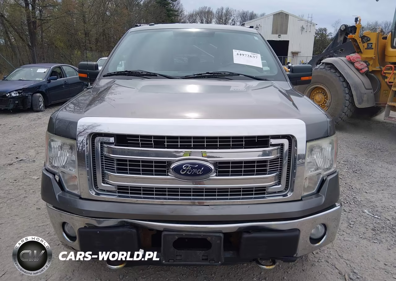 2014 Ford F-150 Xlt VIN:1FTFW1EF0EFA74356 - 12