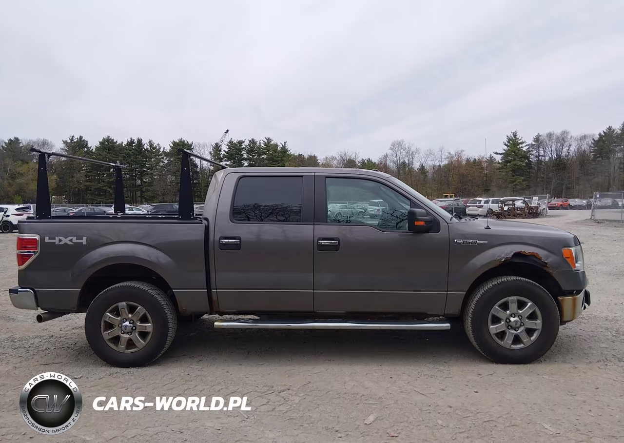 2014 Ford F-150 Xlt VIN:1FTFW1EF0EFA74356 - 13