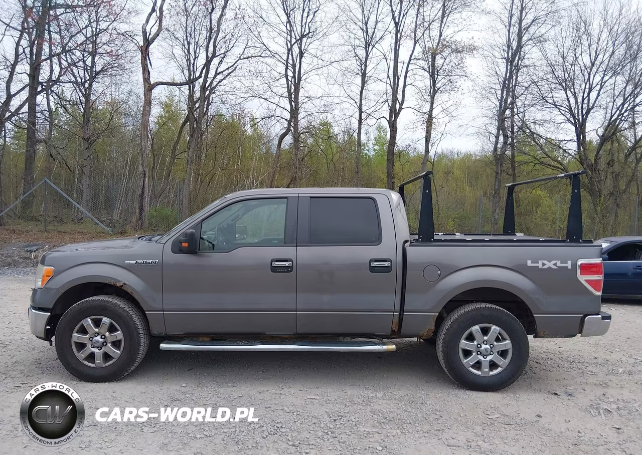2014 Ford F-150 Xlt VIN:1FTFW1EF0EFA74356 - 14