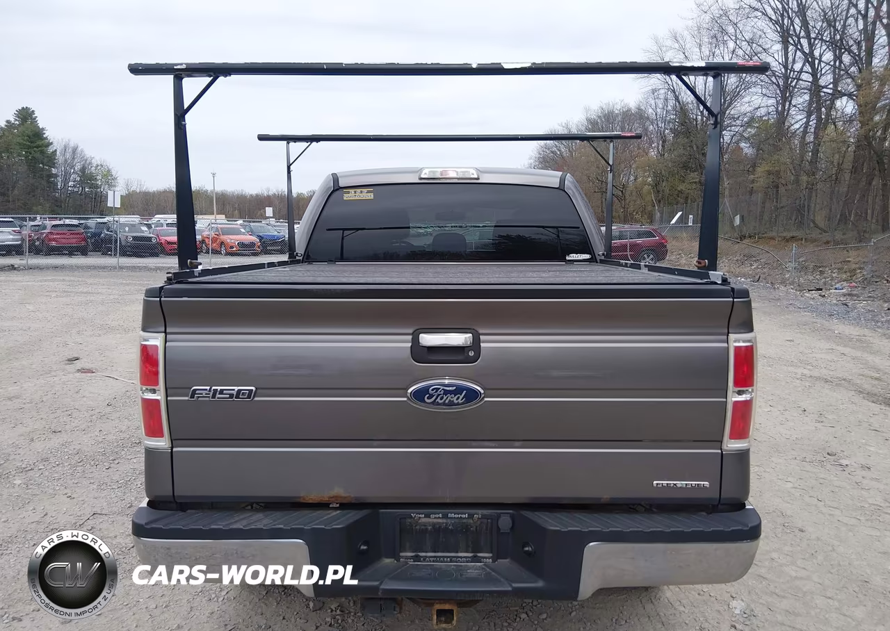 2014 Ford F-150 Xlt VIN:1FTFW1EF0EFA74356 - 16