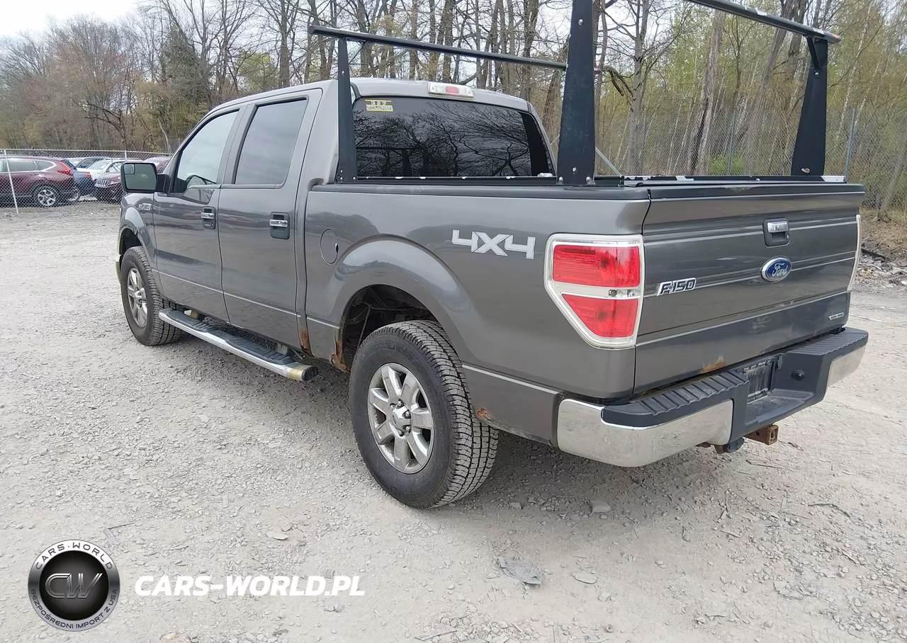 2014 Ford F-150 Xlt VIN:1FTFW1EF0EFA74356 - 3