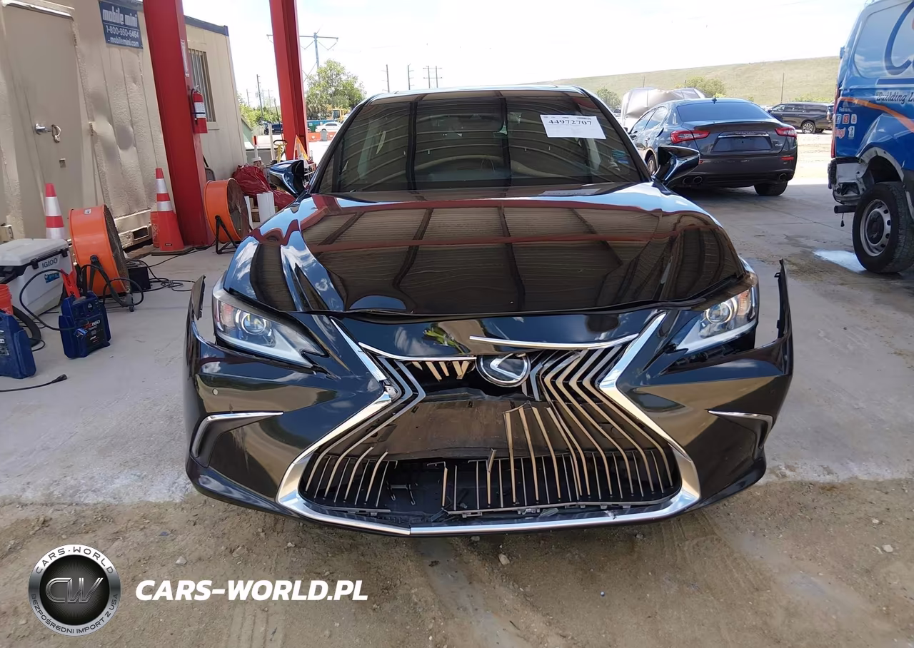 2019 Lexus Es 350 VIN:58ABZ1B13KU034878 - 12