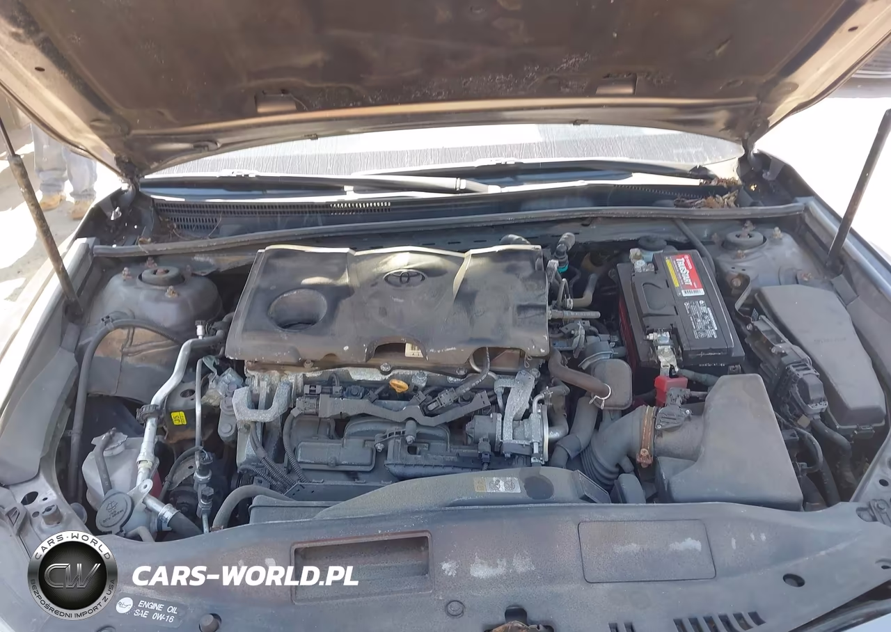2019 Toyota Camry Le VIN:4T1B11HK0KU680216 - 10