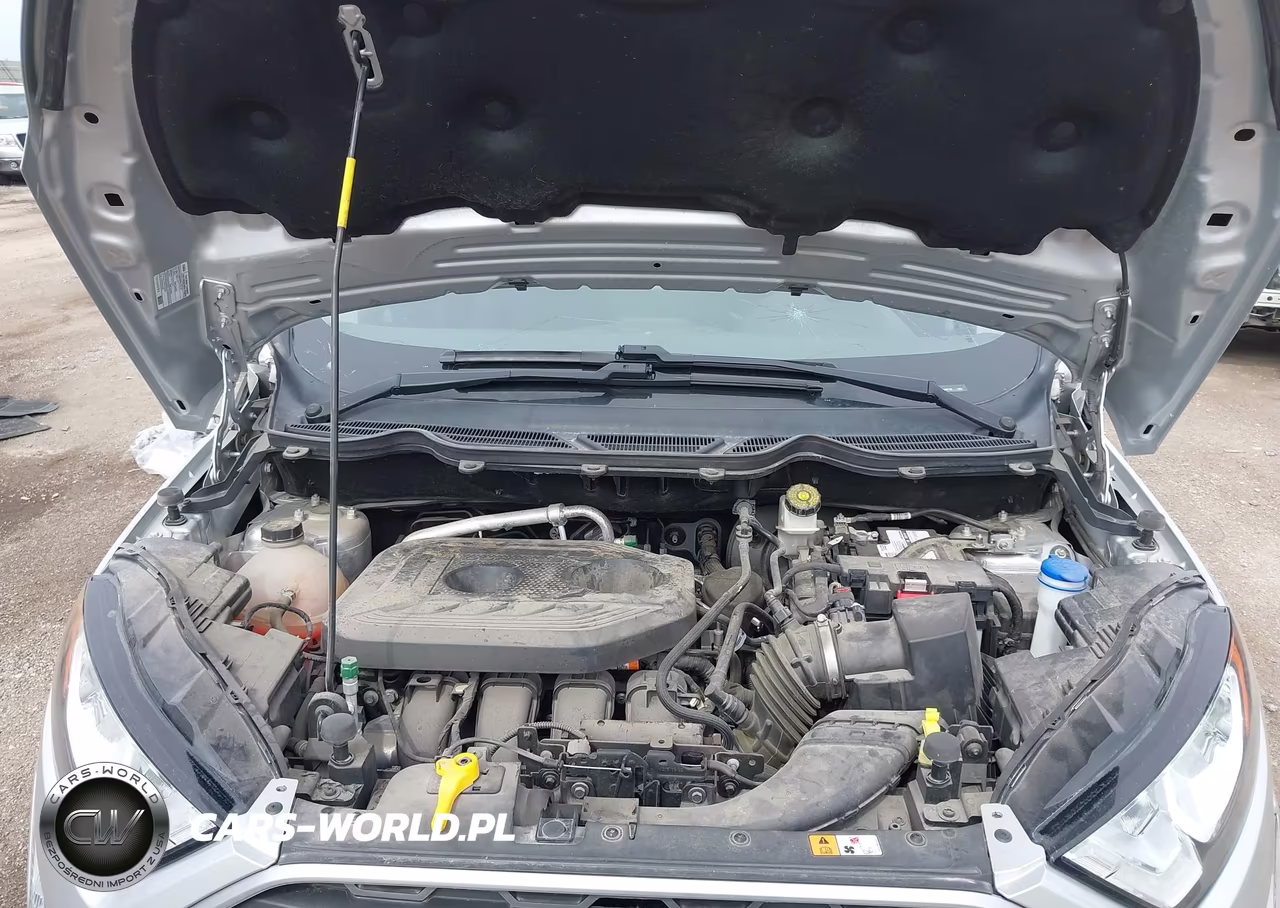 2020 Ford Ecosport Se VIN:MAJ6S3GL0LC348718 - 10
