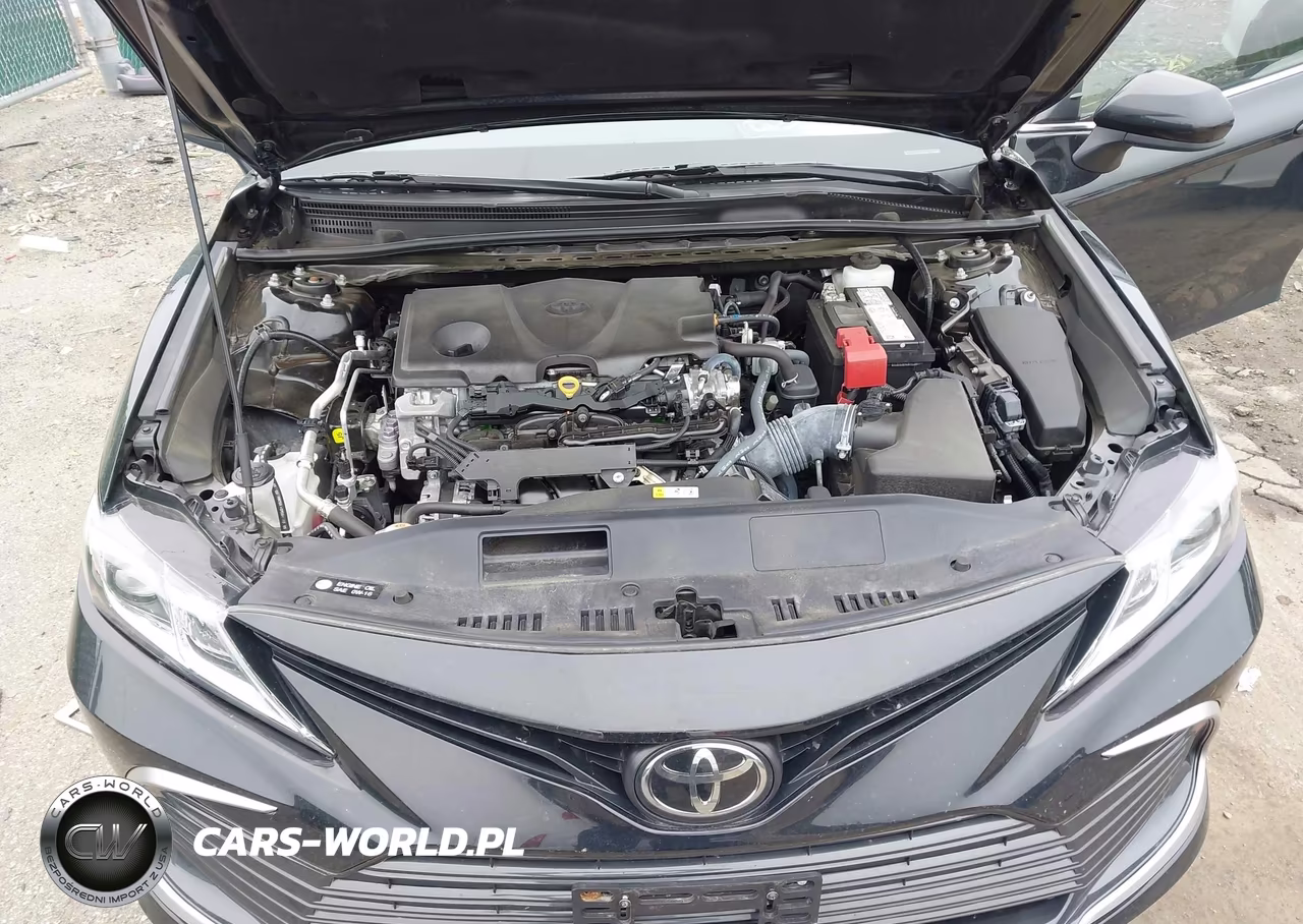 2023 Toyota Camry Le VIN:4T1C11AK1PU775616 - 10