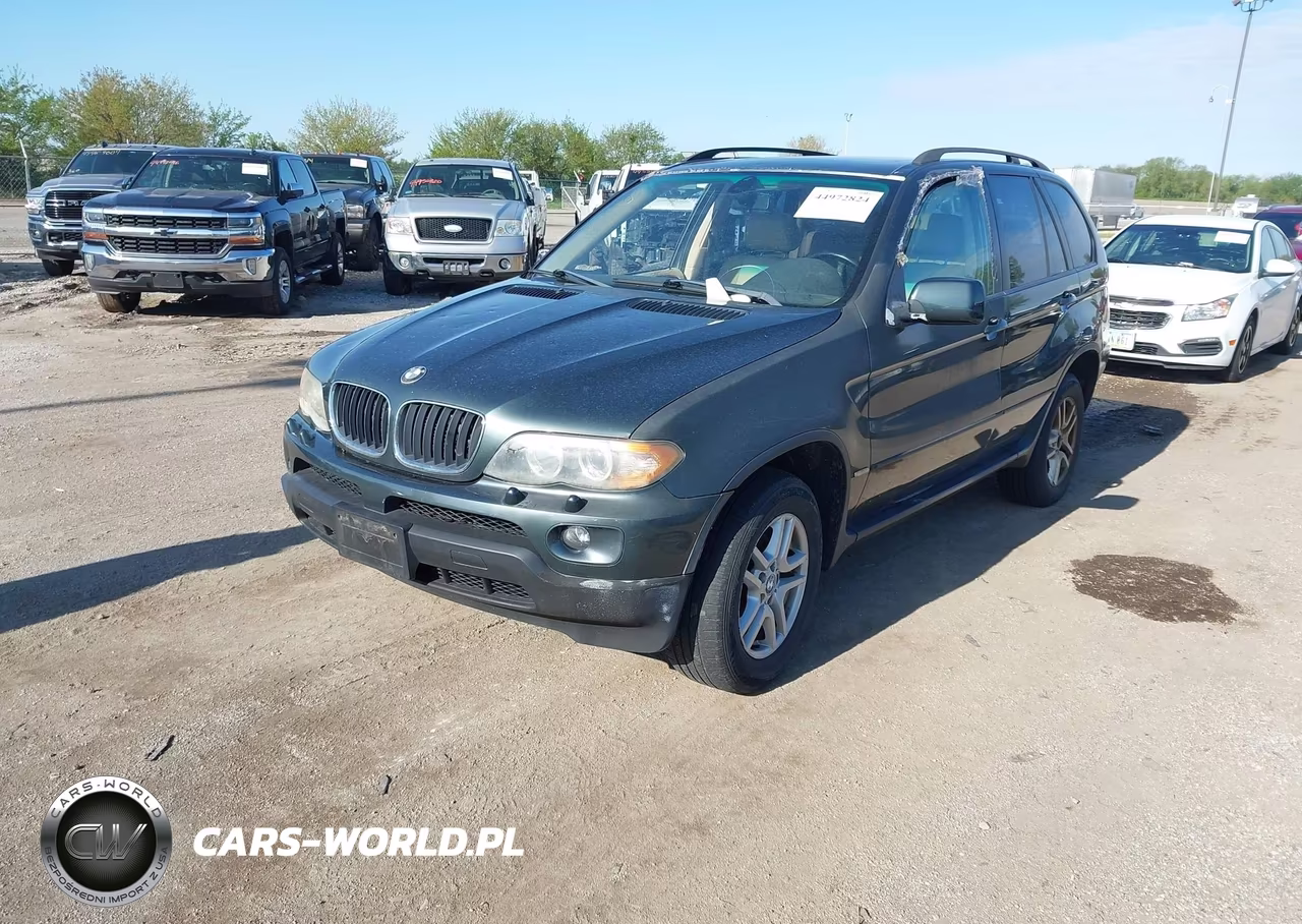 2005 BMW X5 3.0I VIN:5UXFA13575LY10668 - 2