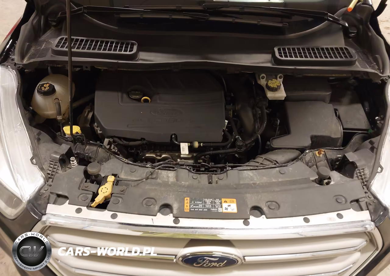 2018 Ford Escape Se VIN:1FMCU0GD7JUD45803 - 10