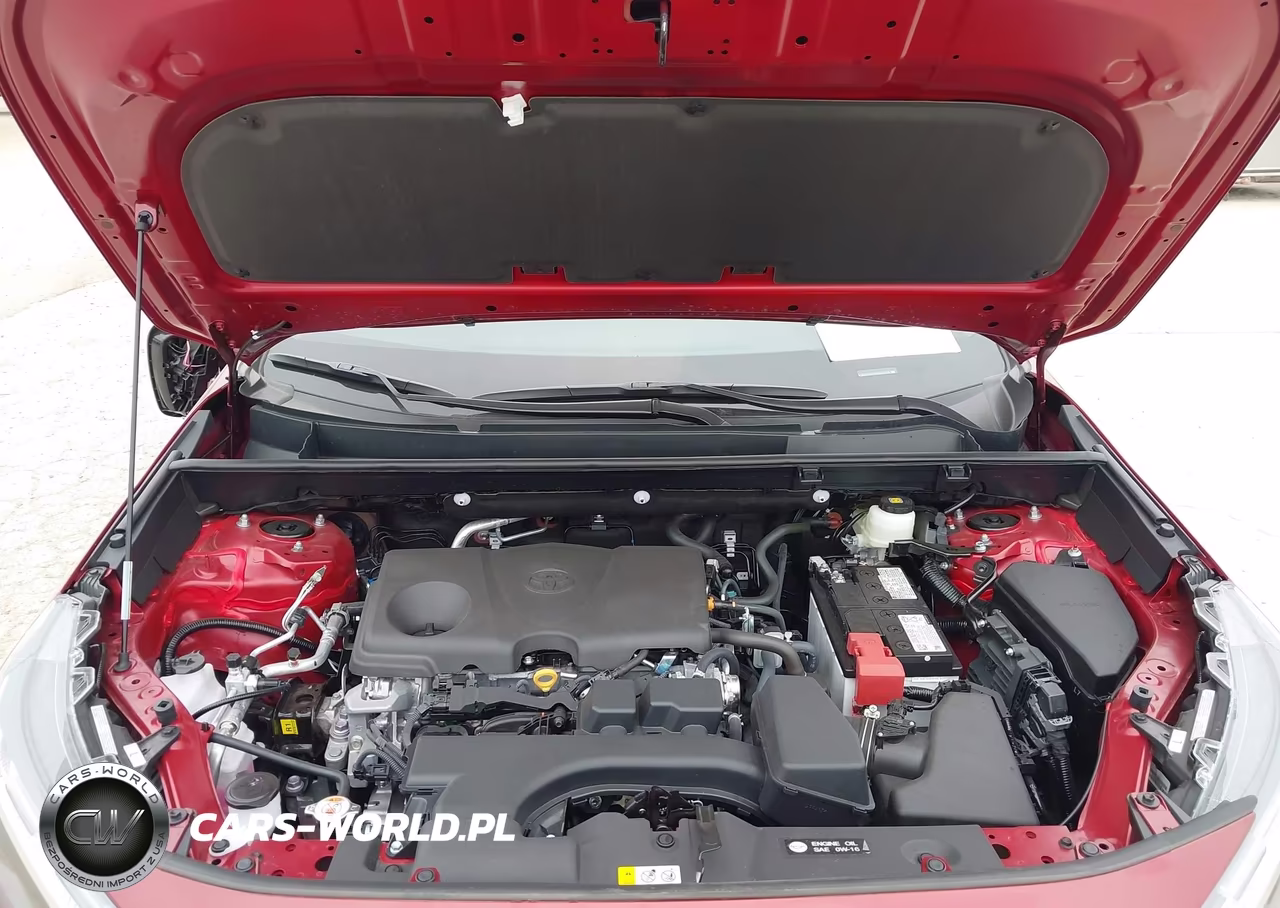 2025 Toyota Rav4 Xle VIN:2T3W1RFV5SW435612 - 10