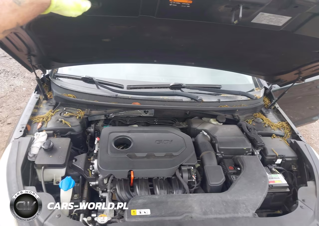 2015 Hyundai Sonata Sport VIN:5NPE34AF1FH066222 - 10