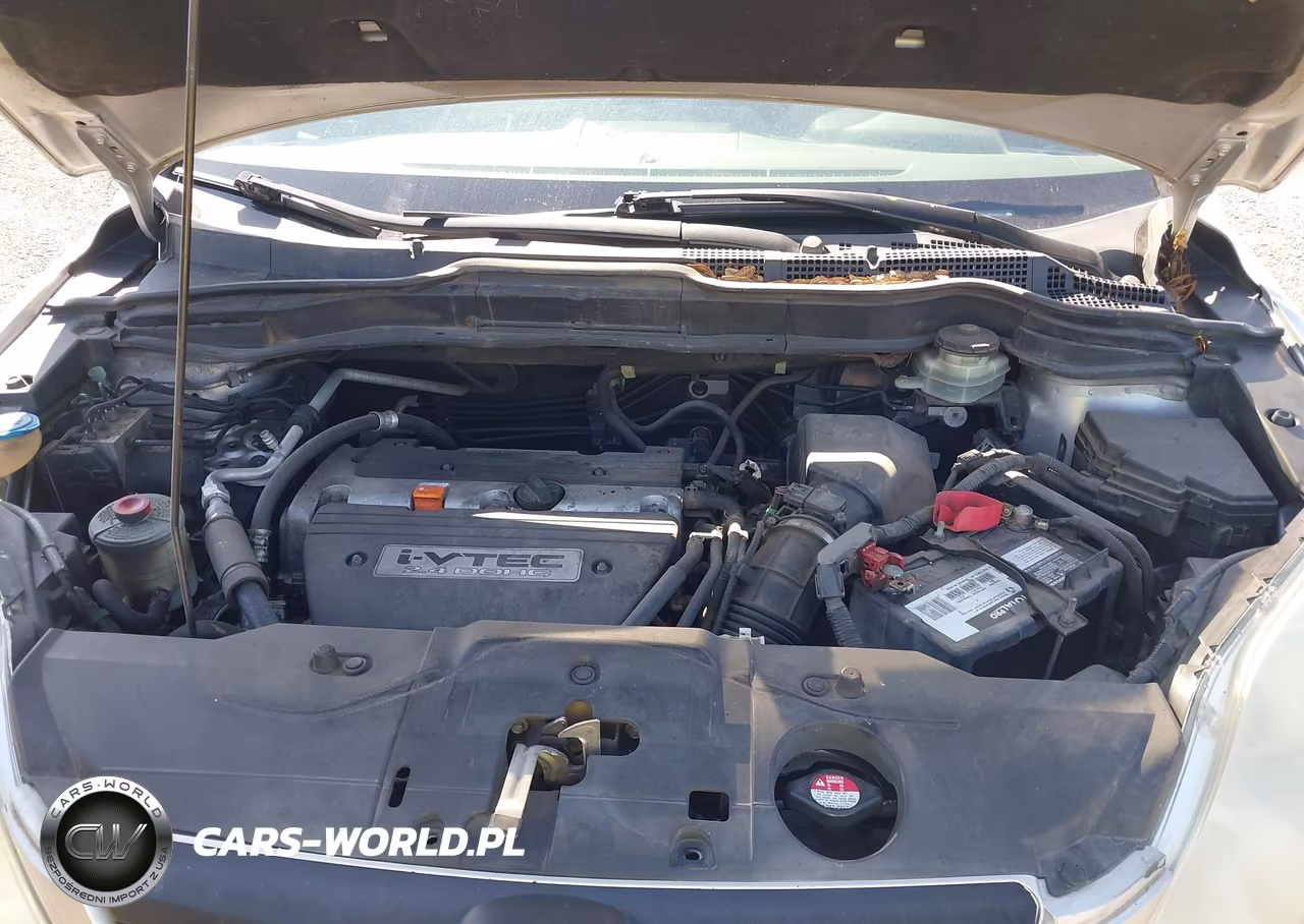 2009 Honda Cr-V Lx VIN:3CZRE383X9G701933 - 10