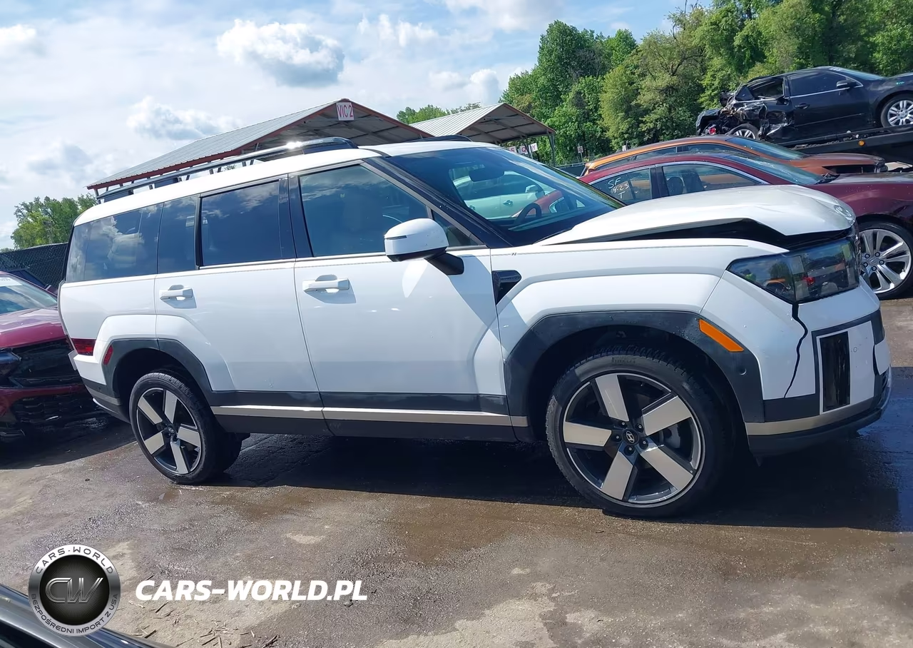 2024 Hyundai Santa Fe Limited VIN:5NMP4DGL9RH000697 - 13