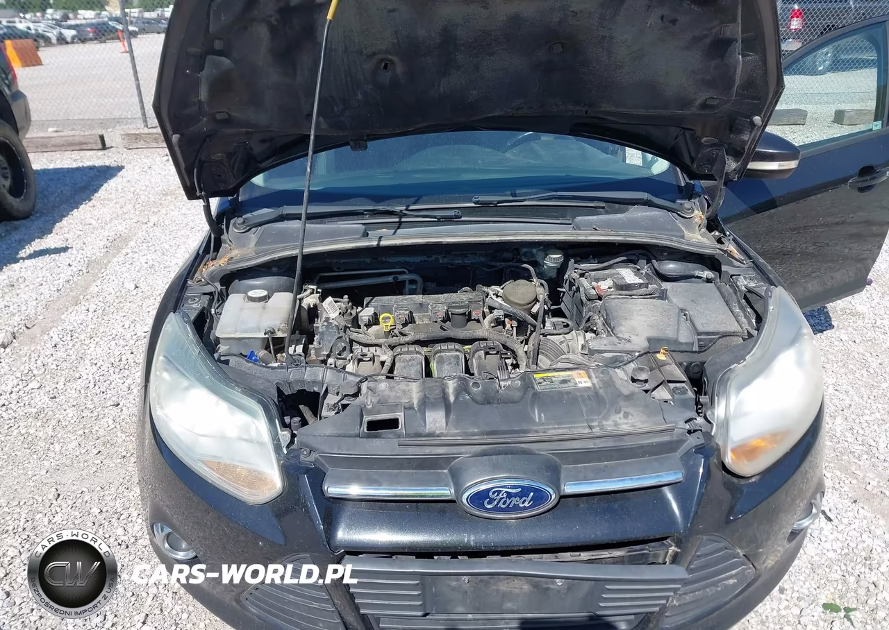 2013 Ford Focus Se VIN:1FADP3F29DL209464 - 10