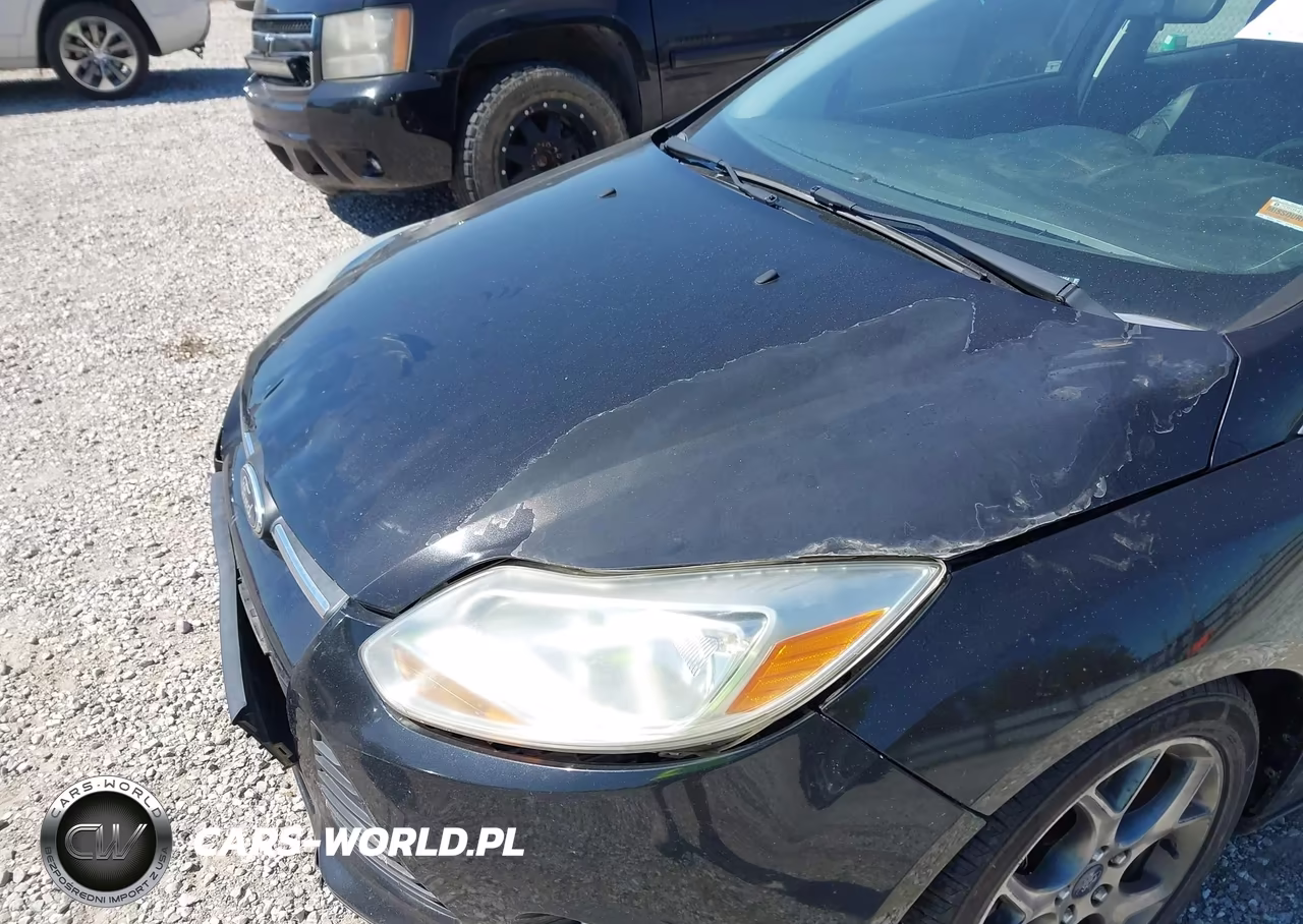 2013 Ford Focus Se VIN:1FADP3F29DL209464 - 6