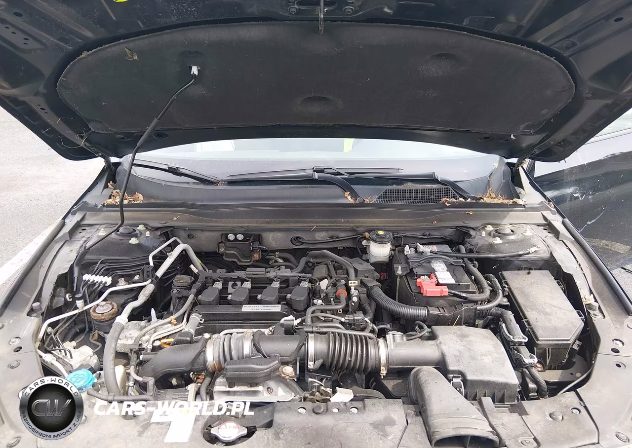 2020 Honda Accord Ex VIN:1HGCV1F45LA012465 - 10