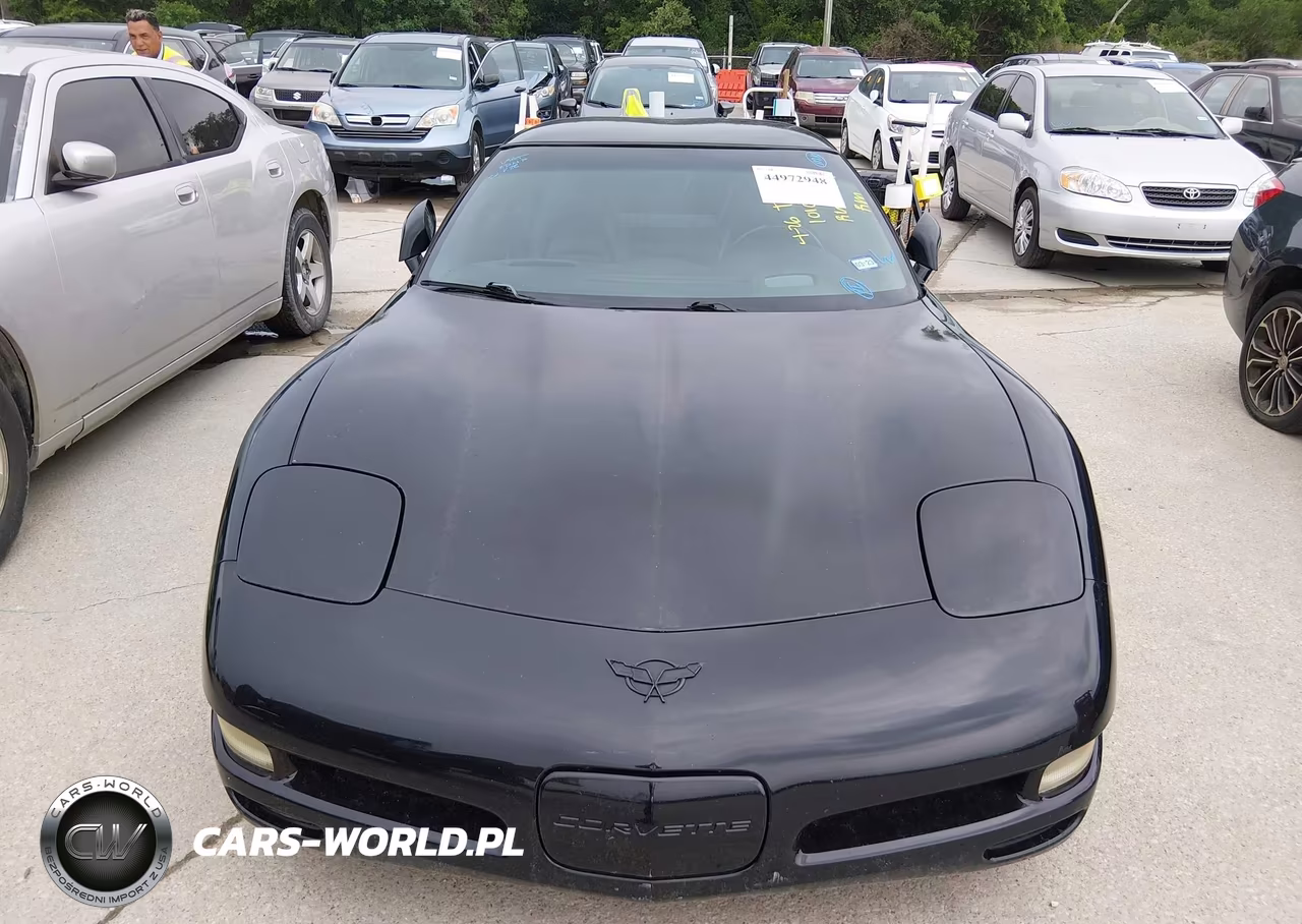 2004 Chevrolet Corvette VIN:1G1YY22G245101026 - 12