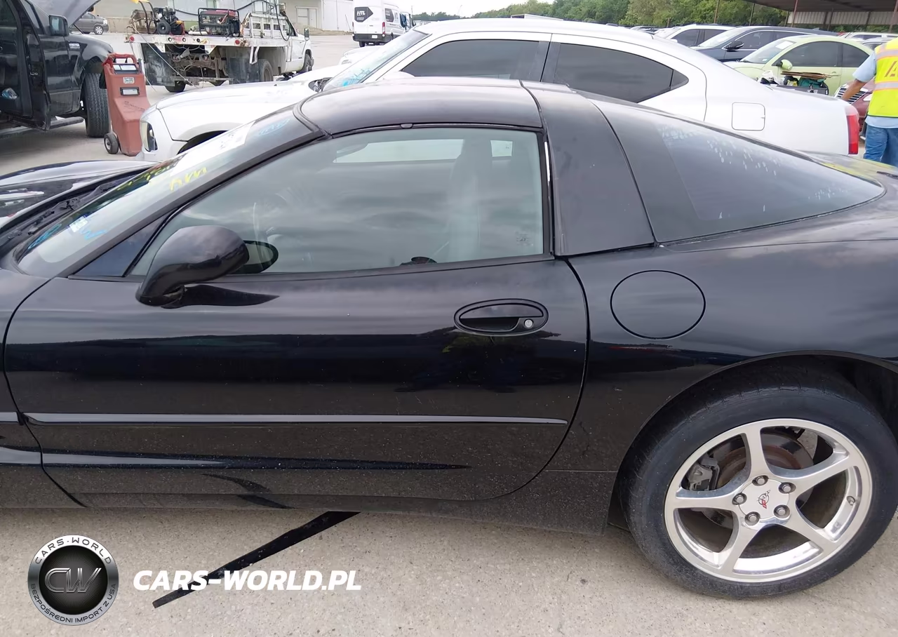 2004 Chevrolet Corvette VIN:1G1YY22G245101026 - 14
