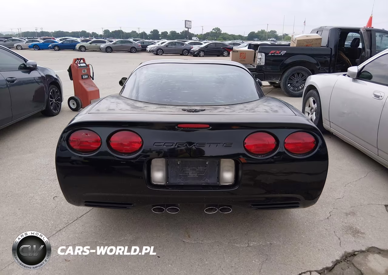 2004 Chevrolet Corvette VIN:1G1YY22G245101026 - 16