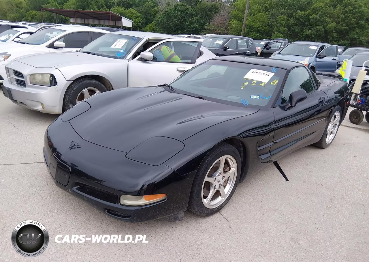 2004 Chevrolet Corvette VIN:1G1YY22G245101026 - 2