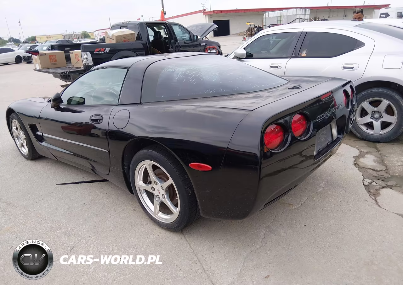 2004 Chevrolet Corvette VIN:1G1YY22G245101026 - 3
