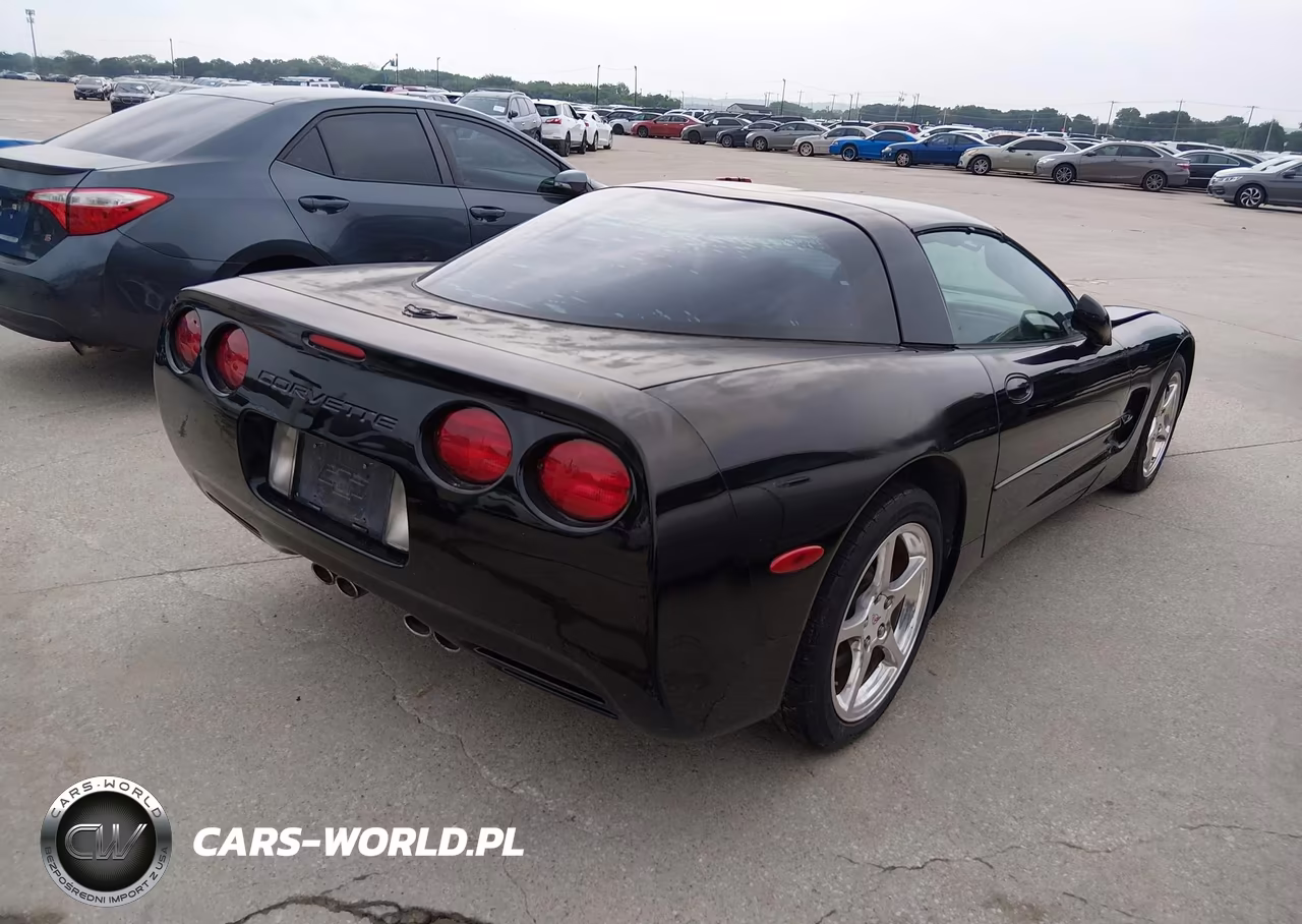 2004 Chevrolet Corvette VIN:1G1YY22G245101026 - 4