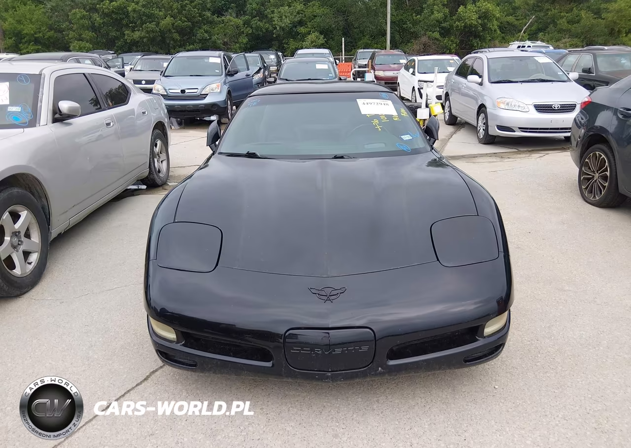 2004 Chevrolet Corvette VIN:1G1YY22G245101026 - 6