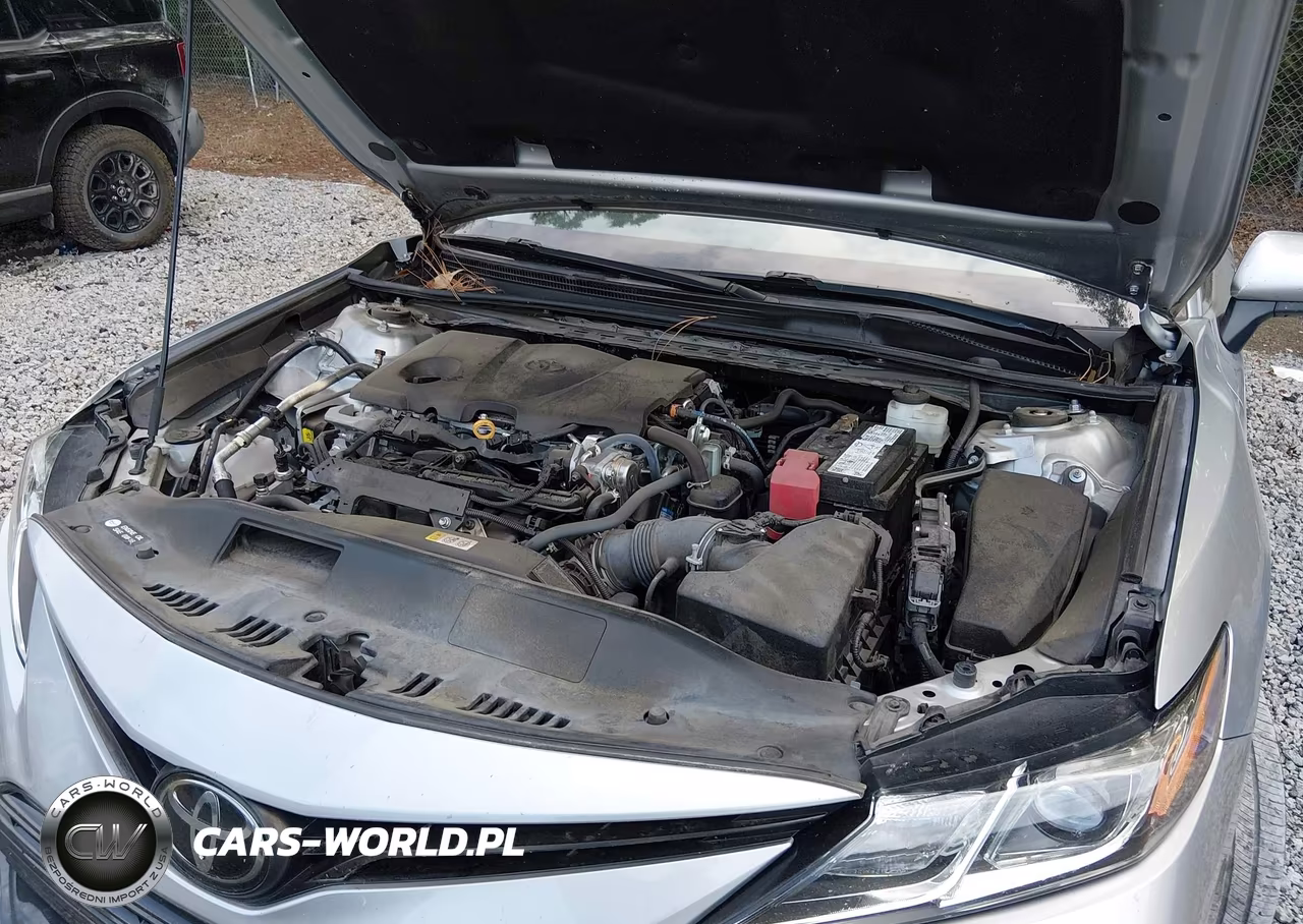 2023 Toyota Camry Le VIN:4T1C11AK7PU081576 - 10