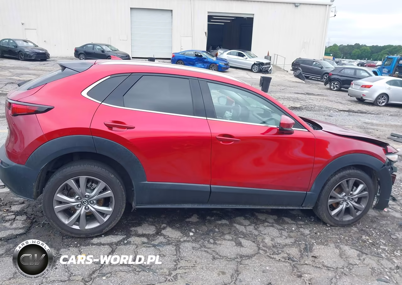 2020 Mazda Cx-30 Premium Package VIN:3MVDMBEM5LM134130 - 12