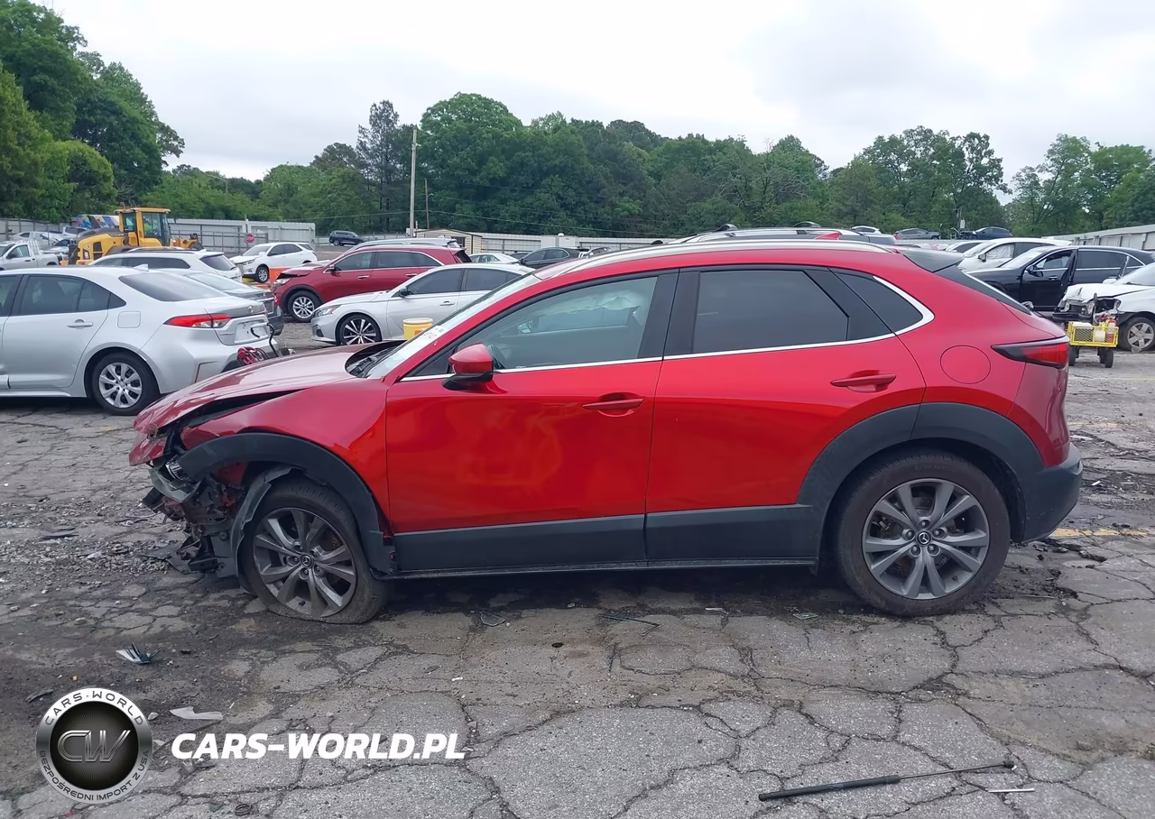 2020 Mazda Cx-30 Premium Package VIN:3MVDMBEM5LM134130 - 13