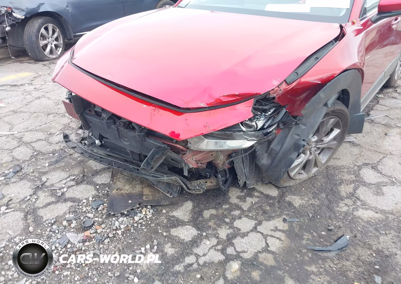 2020 Mazda Cx-30 Premium Package VIN:3MVDMBEM5LM134130 - 6