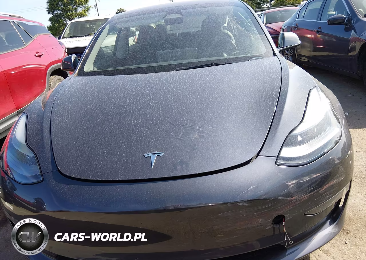 2023 Tesla Model 3 Rear-Wheel Drive VIN:5YJ3E1EA8PF702780 - 11