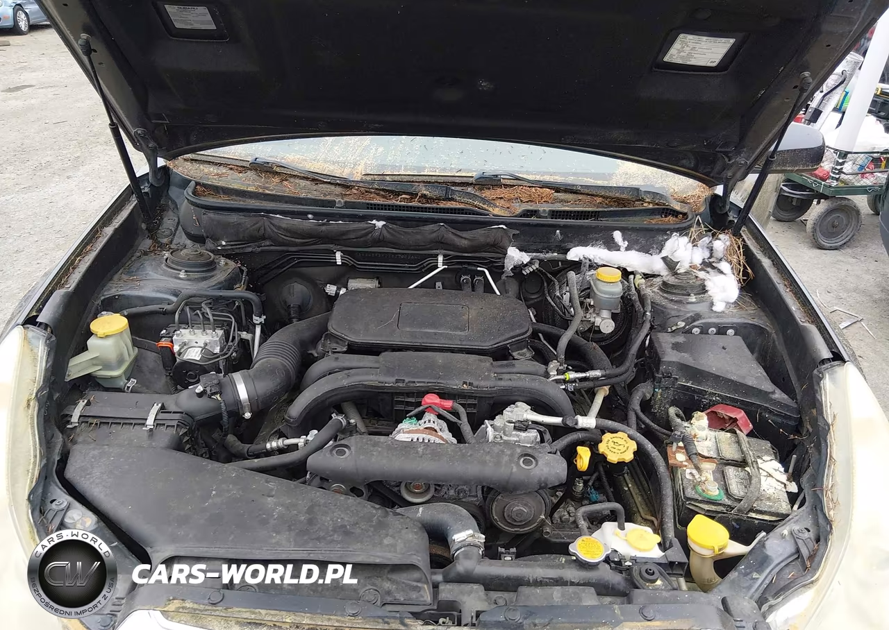 2011 Subaru Outback 2.5I Limited VIN:4S4BRBKCXB3357264 - 10
