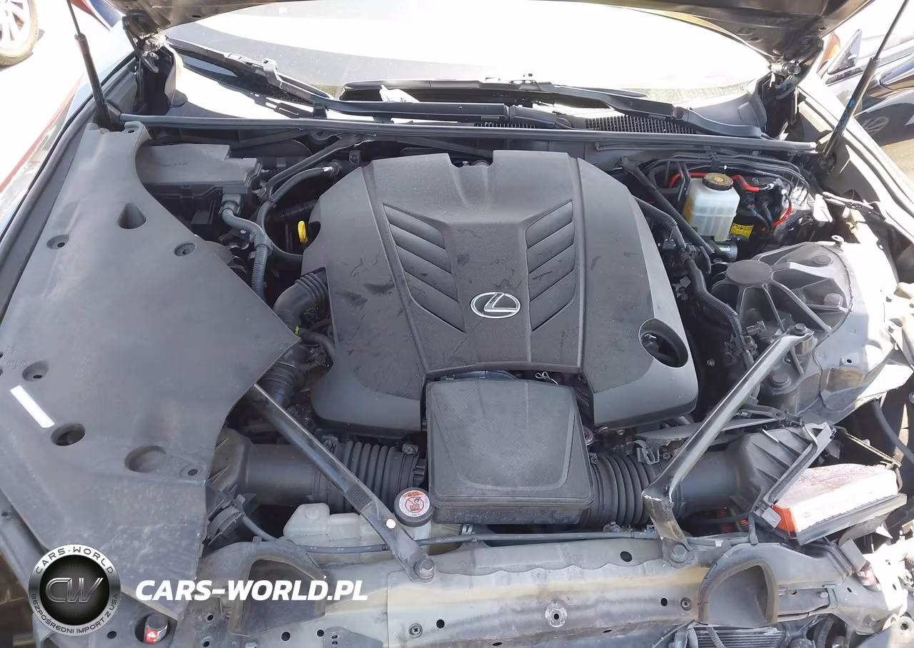 2018 Lexus Lc 500 VIN:JTHHP5AY9JA005532 - 10