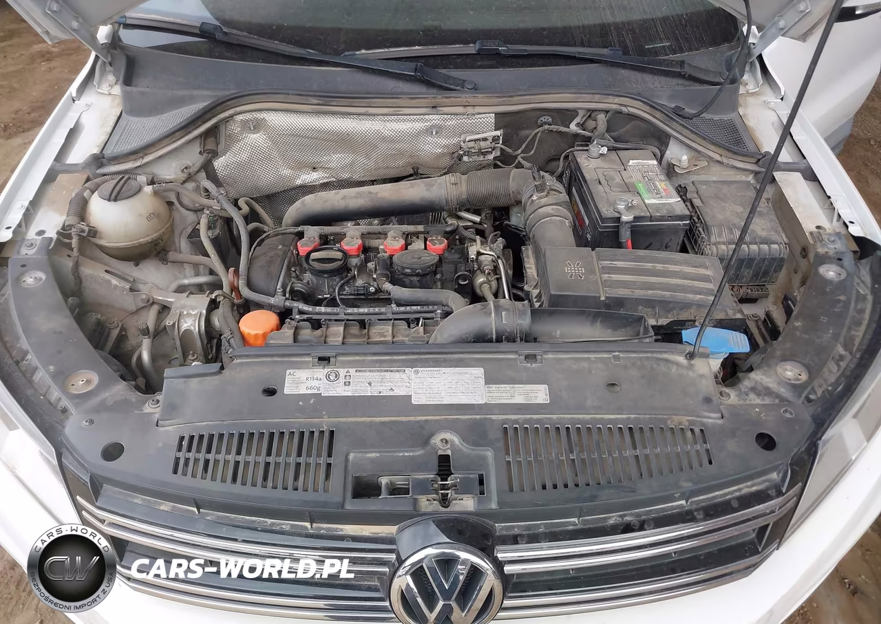 2013 Volkswagen Tiguan S VIN:WVGAV7AX9DW504927 - 10